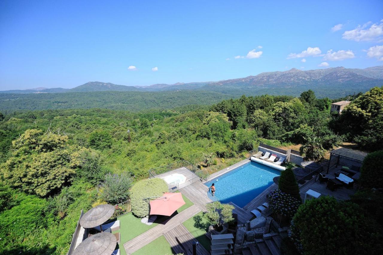 זונזה Appartement Du Tourisme מראה חיצוני תמונה
